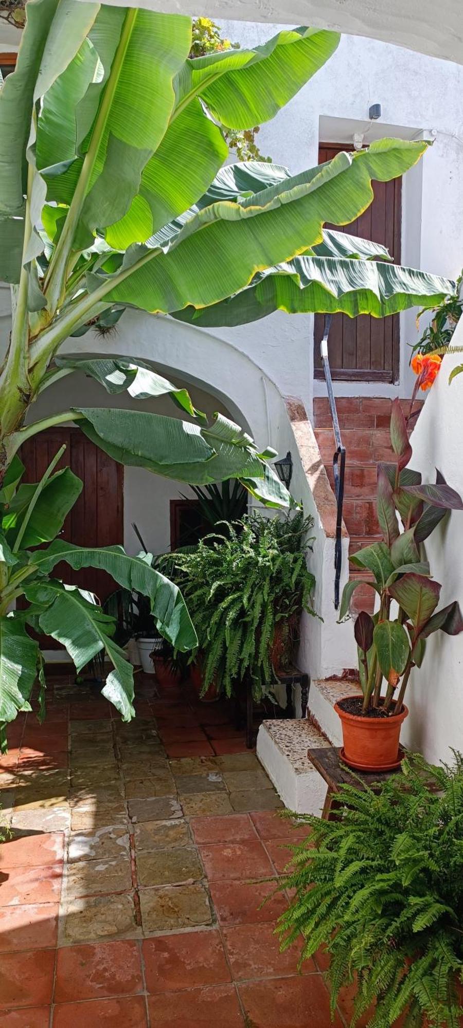 The Best In The Center Of Tarifa Apartman Kültér fotó